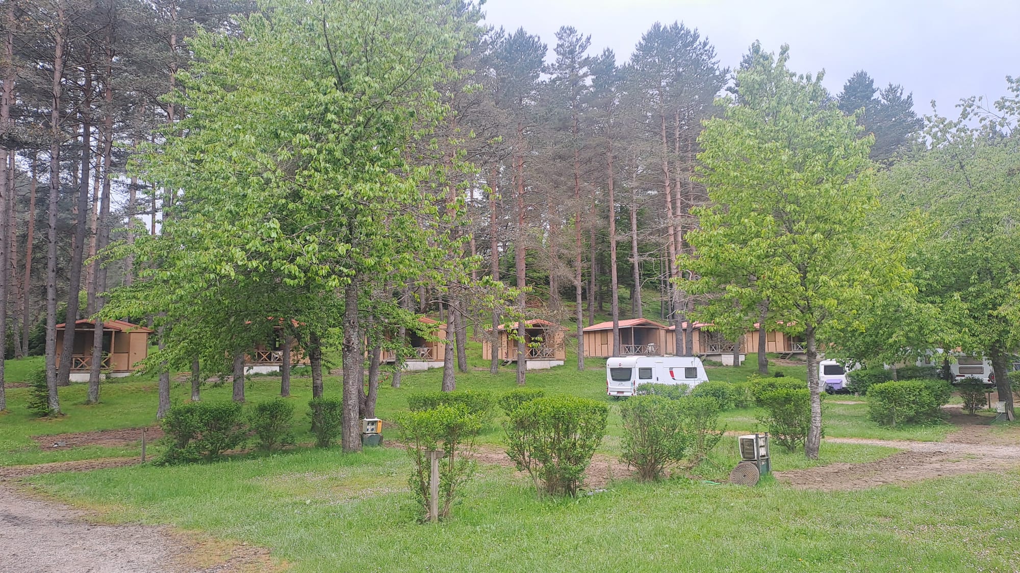 Bungalows, parcelas y autocaravanas del Camping Asolaze entre pinos en Isaba