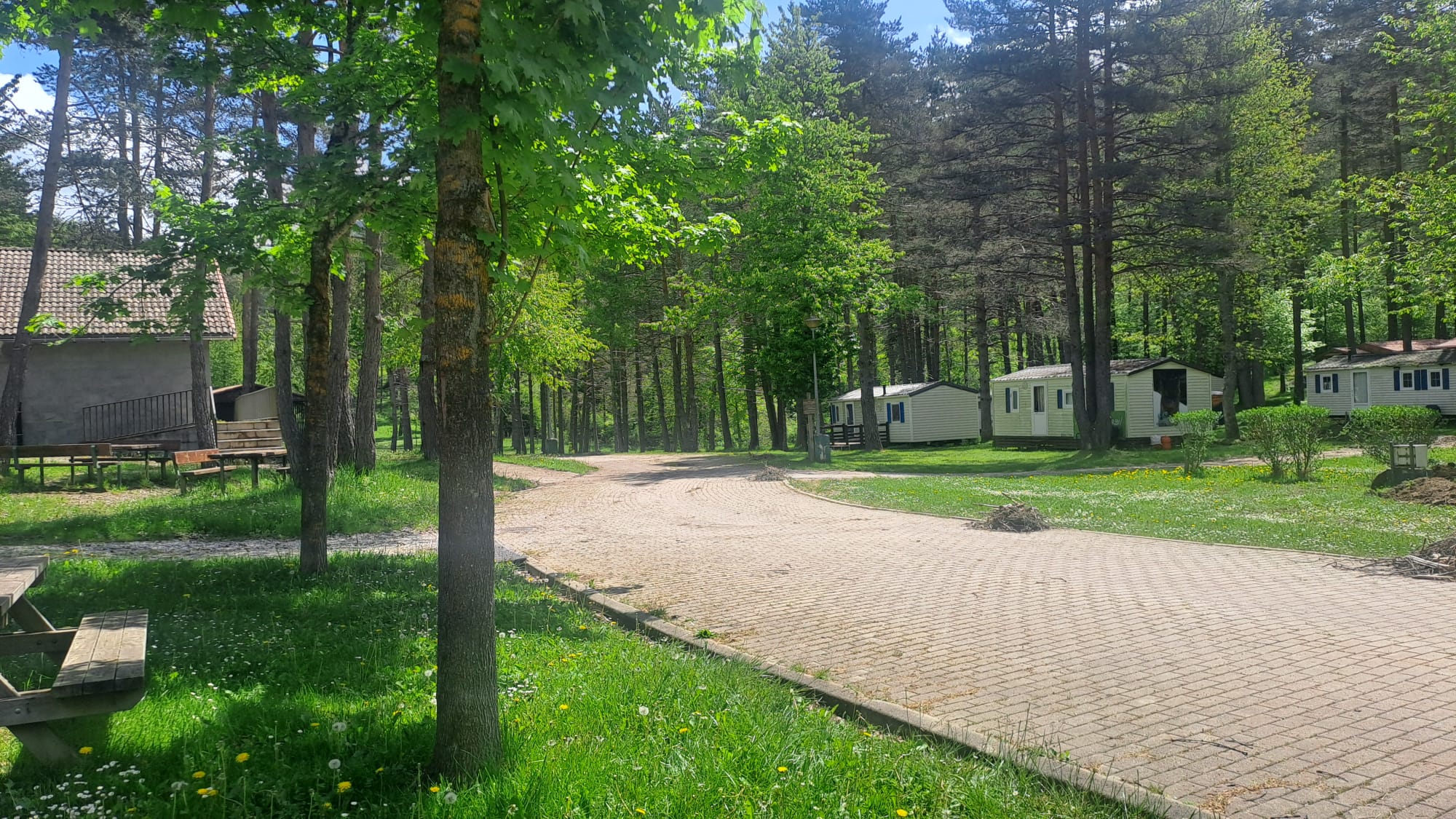 Bungalows y zonas verdes del Camping Asolaze entre un bosque de pinos